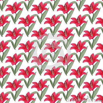 Red Lily flower seamless pattern. Botany realistic background. Vector Illustration