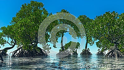 Red mangroves on Florida coast 3d rendering Stock Photo