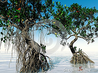 Red mangroves on Florida coast 3d rendering Stock Photo