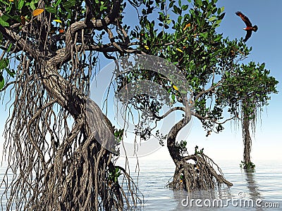 Red mangroves on Florida coast 3d rendering Stock Photo