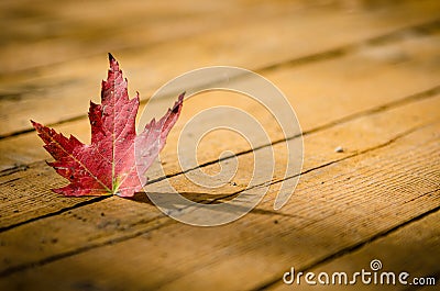 Red maple leaf on wood Stock Photo