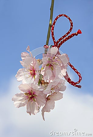 Almond blossom in spring in Bulgaria Stock Photo