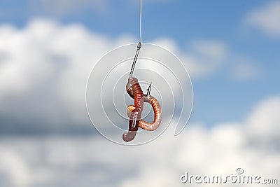 red metal worm writhing on a fish hook Stock Photo