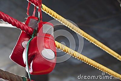 Red Muay Thai boxing gloves in fighting ring Stock Photo