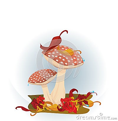 Red Mushrooms Vector Illustration