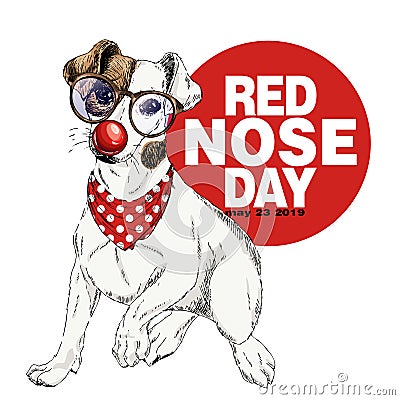 Red nose day poster. Vector hand drawn dog portrait. Jack Russel terrier wearing glasses, clown nose and bandana Vector Illustration