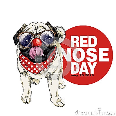 Red nose day poster. Vector hand drawn dog portrait. Pug or bulldog wearing glasses, clown nose and bandana. American Vector Illustration