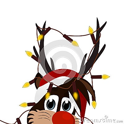 Christmas time with Reindeer Rudolf. Stock Photo