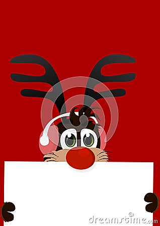 Christmas time with Reindeer Rudolf. Stock Photo