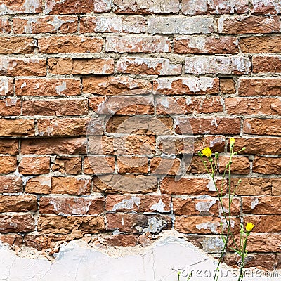 Red old brick wall as background Stock Photo