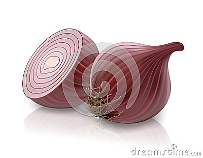 Red onion Vector Illustration