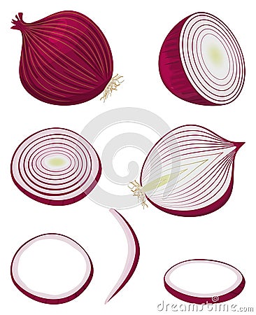 Red onion Vector Illustration