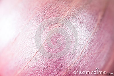 Red onion Background. Nature pattern and texture close up shot. Stock Photo