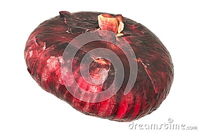 Red onion close-up 3d rendering with realistic texture Stock Photo