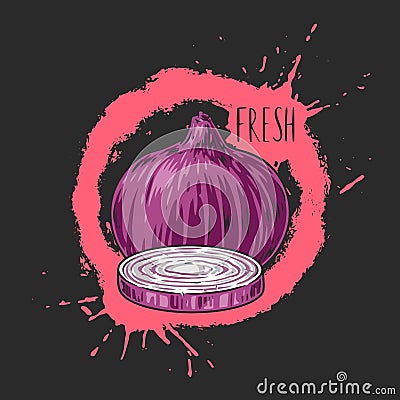 Red onion colorful detailed poster Vector Illustration
