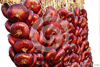 Red onion fresh vegetables in bundles Stock Photo