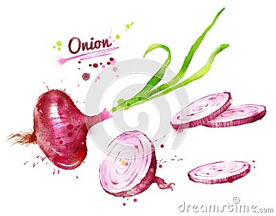 Red onion Cartoon Illustration