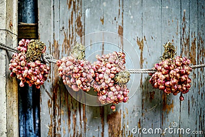 Red Onion hanging on the wall of the house : Closeup Stock Photo