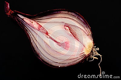 Red Onion Sliced Open 1 Stock Photo