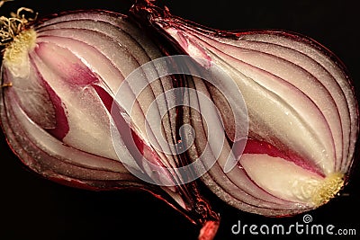 Red Onion Sliced Open 2 Stock Photo