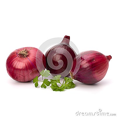 Red onion tuber and fresh parsley Stock Photo