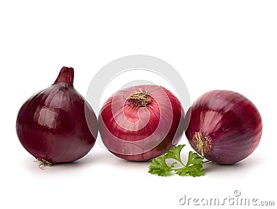 Red onion tuber and fresh parsley Stock Photo