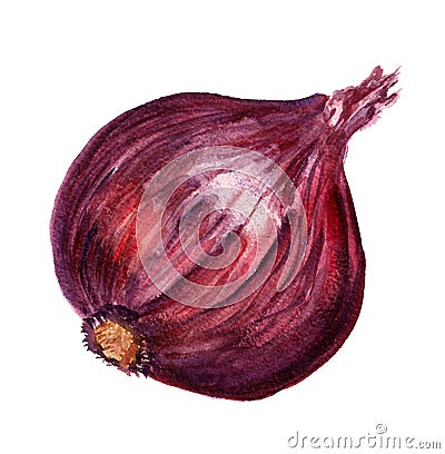 Red onion Stock Photo