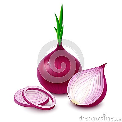 Red onion on white background Vector Illustration