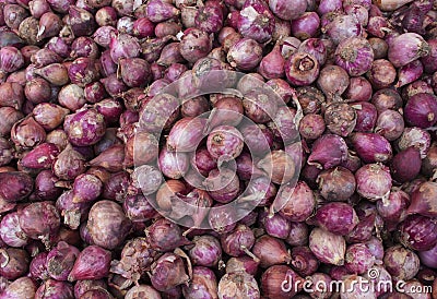 Red onions pile on market display. Fresh red onion for sale. Autumn harvest in garden Stock Photo