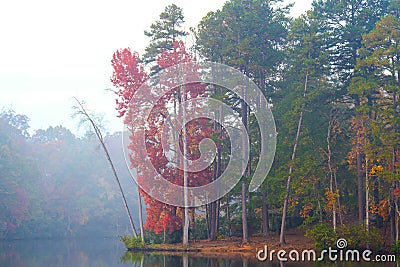 Red and Orange Autumn Folliage near a Lake Stock Photo