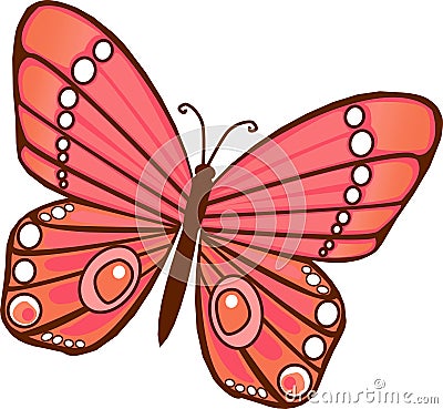 Red orange Butterfly Vector Illustration