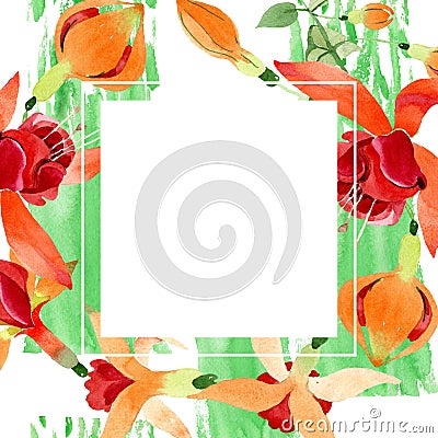 Red orange fuchsia floral botanical flower. Watercolor background illustration set. Frame border ornament square. Cartoon Illustration