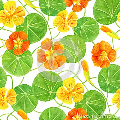 Red, orange, yellow nasturtium flowers and leaves seamless pattern. Hand drawn botanical watercolor illustration with garden Cartoon Illustration