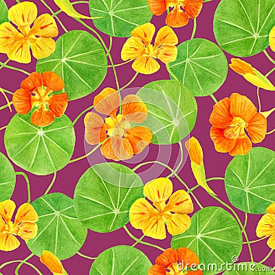 Red, orange, yellow nasturtium flowers and leaves seamless pattern. Hand drawn botanical watercolor illustration with Cartoon Illustration