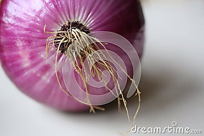 Red Organic Onion Stock Photo