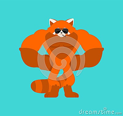 Red panda Strong Cool serious. beast strict. Vector illustration Vector Illustration