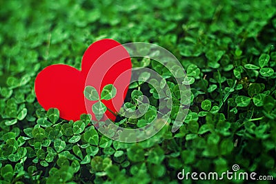 Red paper hearts in green clover Stock Photo