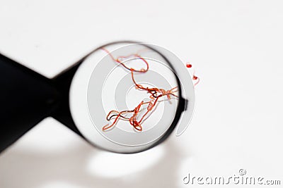 Red parasites worms on a white background Stock Photo