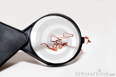 Red parasites worms on a white background Stock Photo