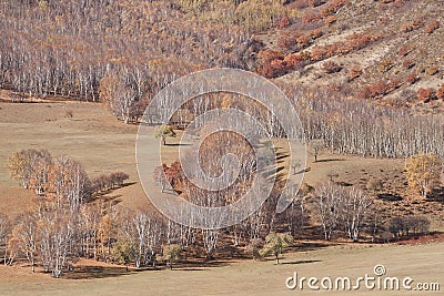 Red pastel colors of autumn Mongolian steppe, Mulan Weichang, China Stock Photo