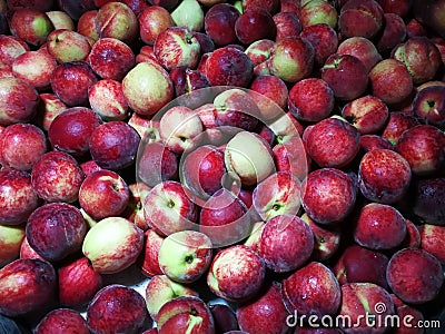 Red peaches Stock Photo