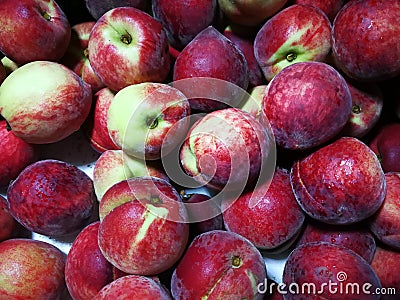 Red peaches Stock Photo