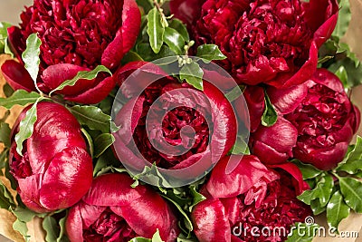 Red peonies in vase. retro styled photo. close-up Stock Photo