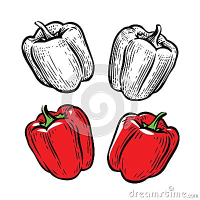 Red pepper. Culinary seasoning, food vector Vector Illustration