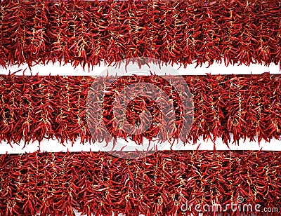 Red pepper exposition Stock Photo