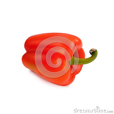 Red pepper isolated on white background. Vector Illustration