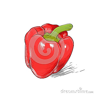 Red pepper sketch draw isolated over white Vector Illustration