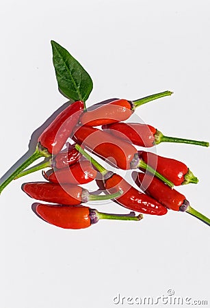 Red pepper very hot- The Scoville Scale Stock Photo