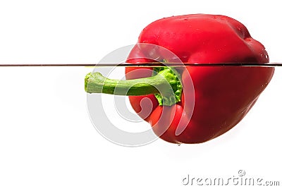 Red pepper water Stock Photo