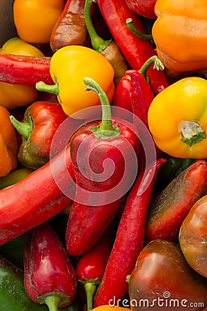 Red pepper, pepper, yellow pepper, a lot of pepper Stock Photo